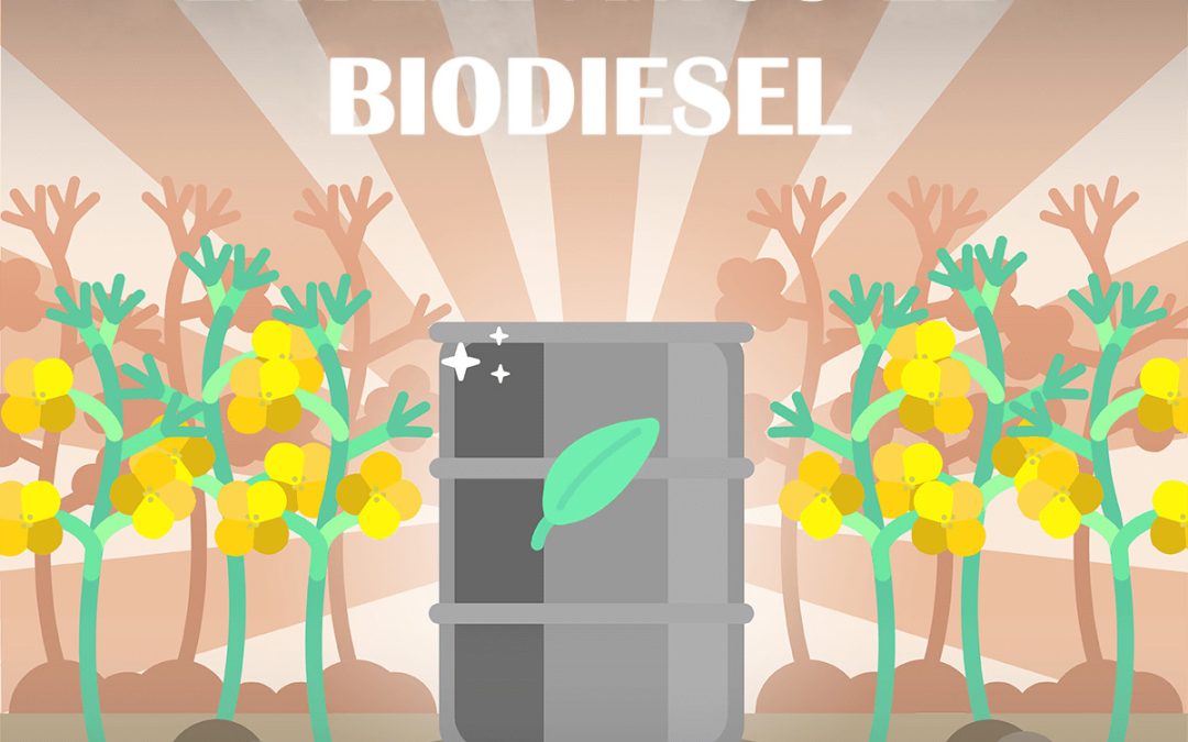 Comprensión del biodiésel: una guía completa